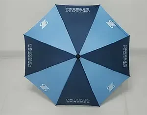 DBIS Umbrella